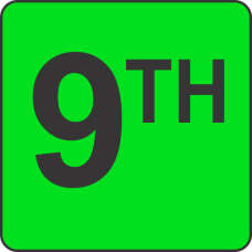 Nineth (9th) Fluorescent Circle or Square Labels