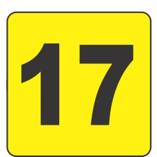 Number 7teen (17) Fluorescent Circle or Square Labels