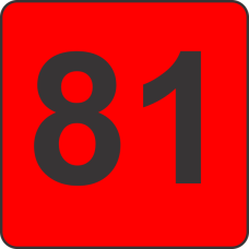 Number Eighty One (81) Fluorescent Circle or Square Labels