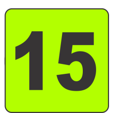 Number Fifteen (15) Fluorescent Circle or Square Labels