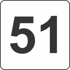 Number Fifty One (51) Fluorescent Circle or Square Labels