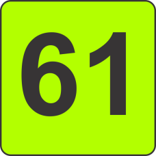 Number Sixty One (61) Fluorescent Circle or Square Labels