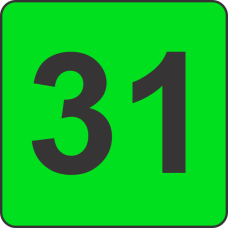 Number Thirty One (31) Fluorescent Circle or Square Labels