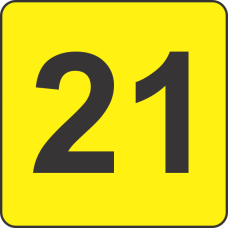 Number Twenty One (21) Fluorescent Circle or Square Labels